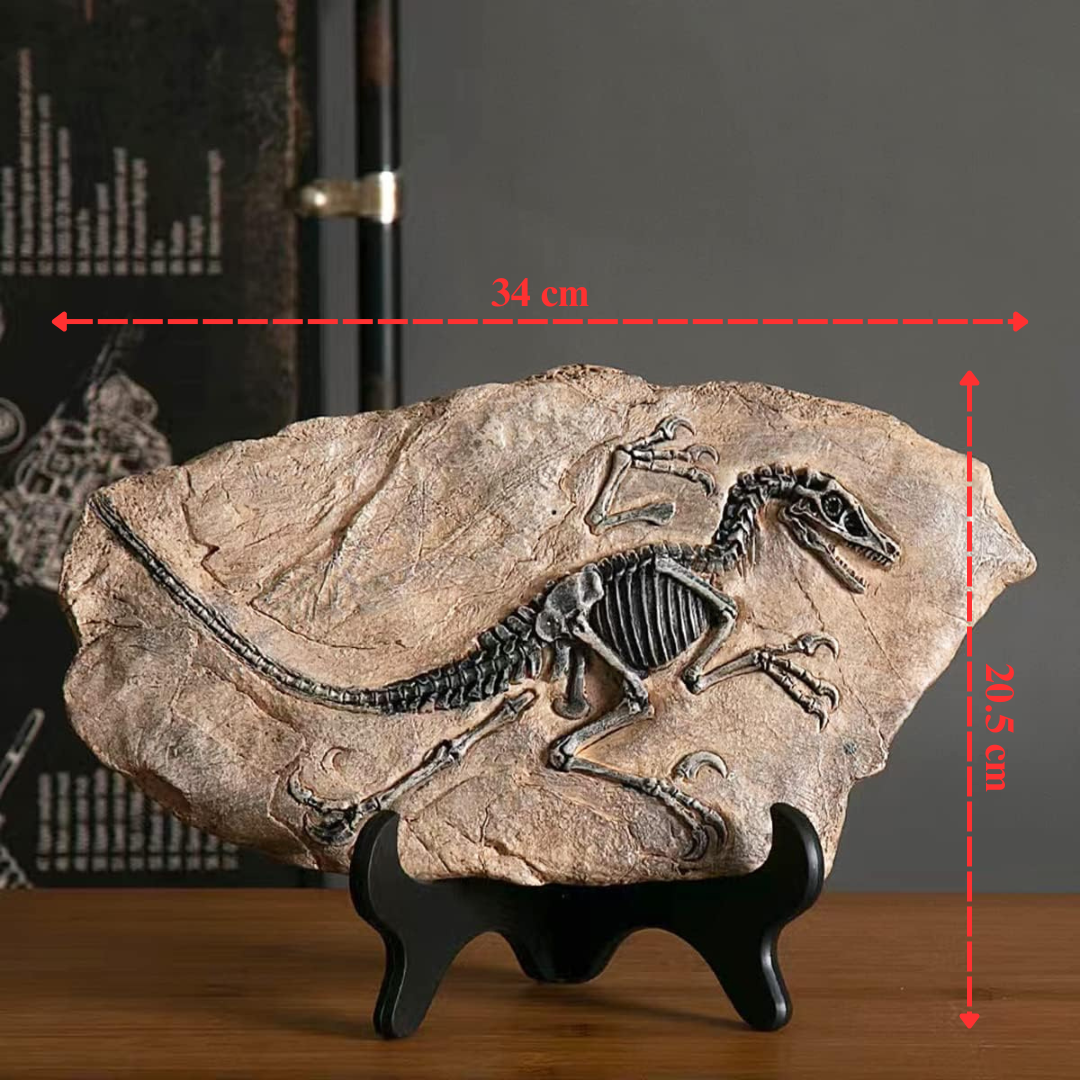 Prehistoric Fossil Relic Art