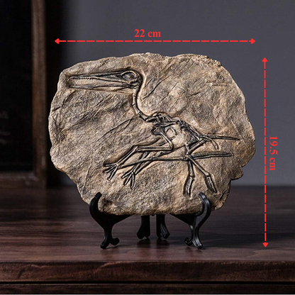 Prehistoric Fossil Relic Art