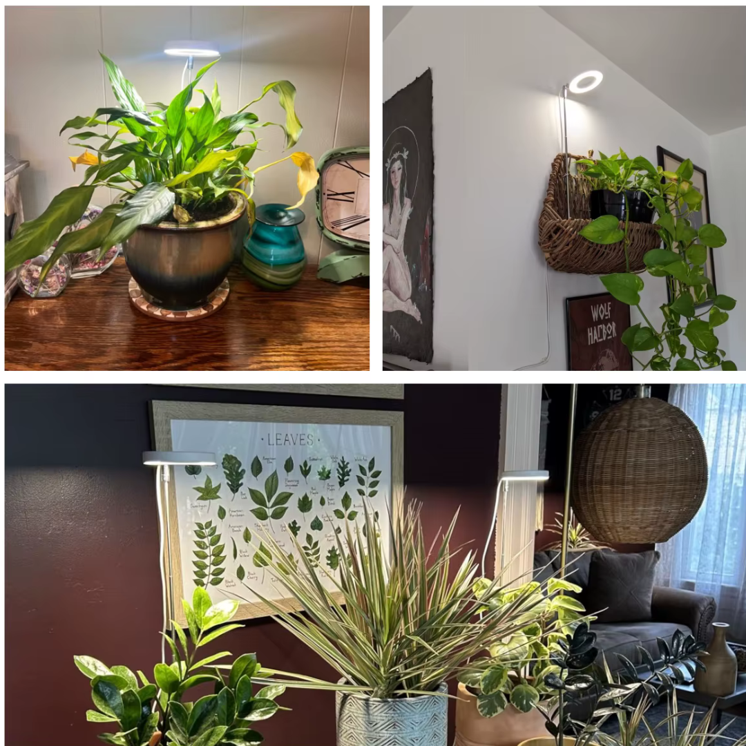 Lumine Groeilampen Voor Kamerplanten