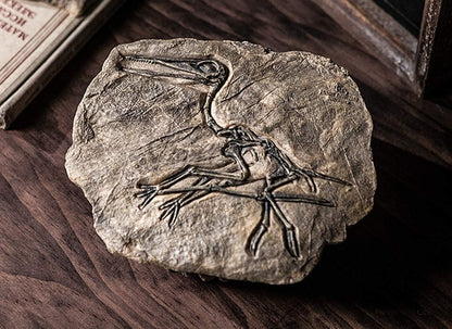 Prehistoric Fossil Relic Art