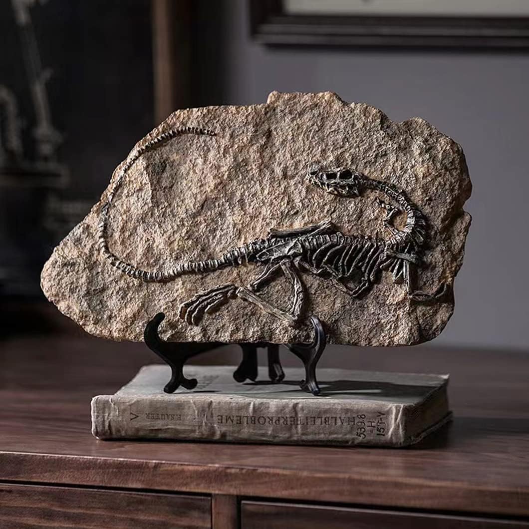 Prehistoric Fossil Relic Art