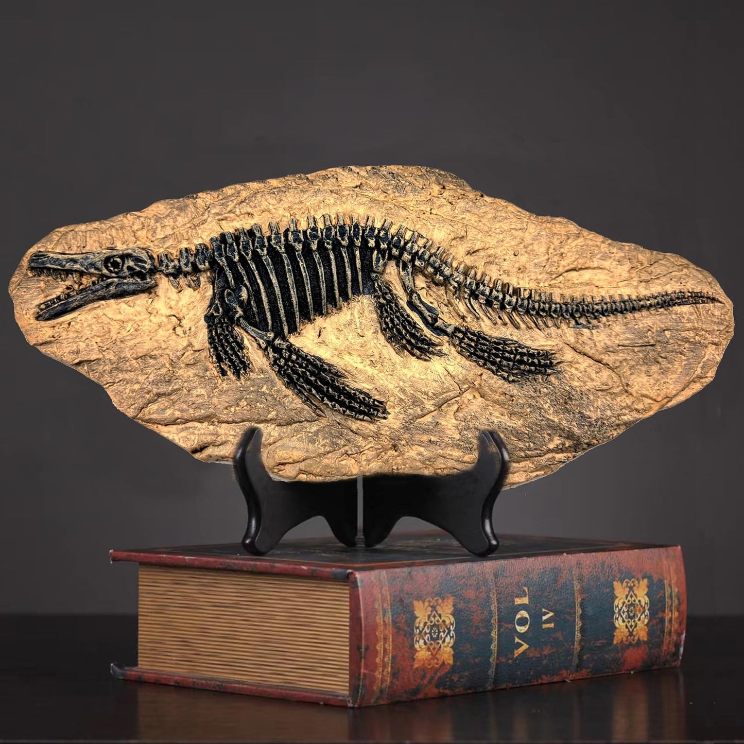 Prehistoric Fossil Relic Art
